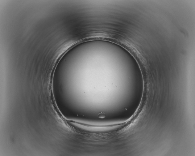 X0000111191129200907081250