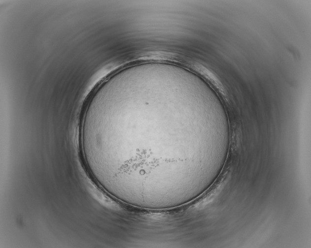 X0000111191130200907081251