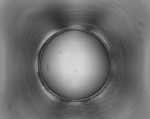 X0000111191131200907081251