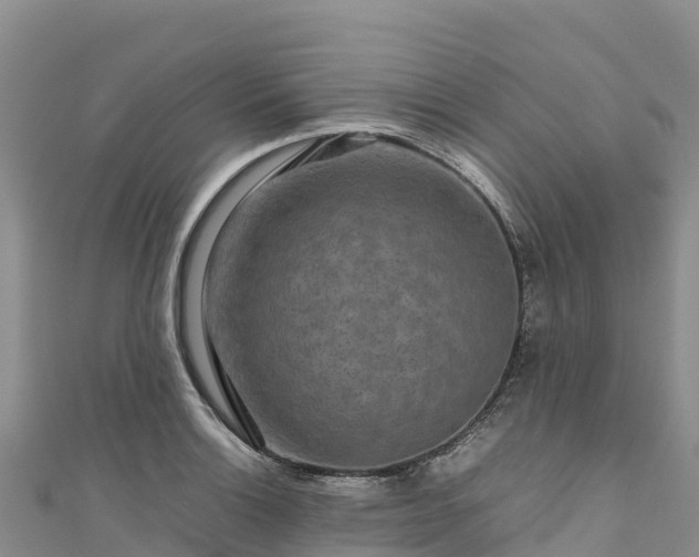 X0000111191132200907081251