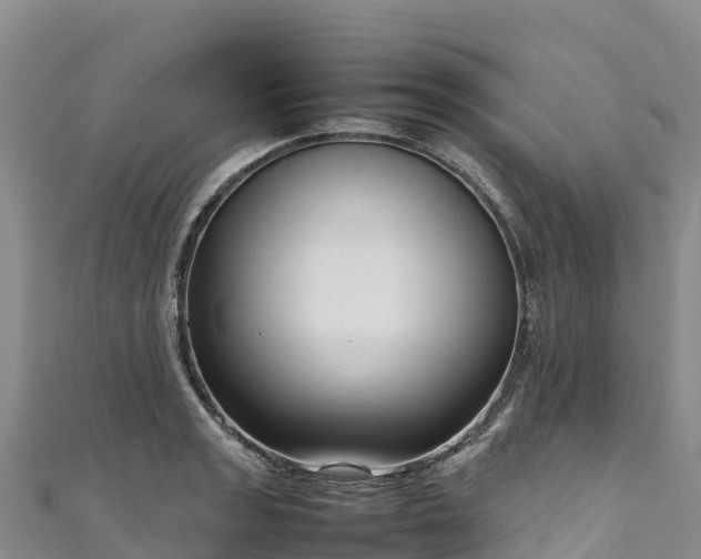 X0000111191133200907081251