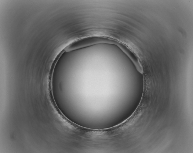 X0000111191134200907081251