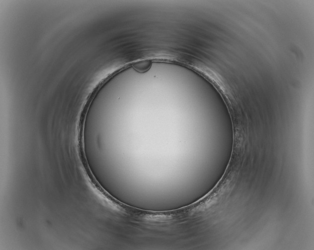 X0000111191135200907081251