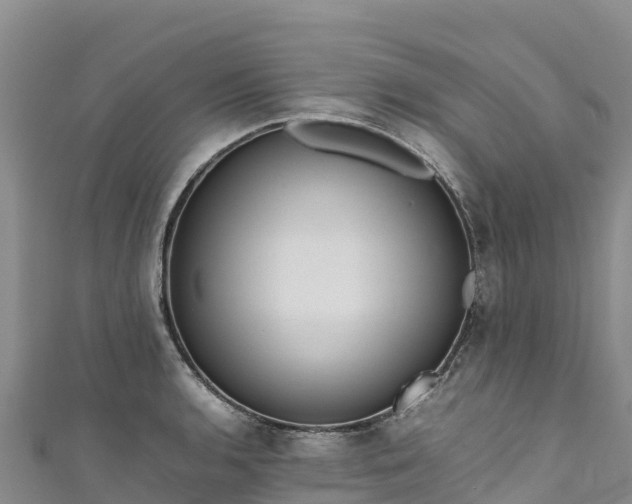 X0000111191136200907081251