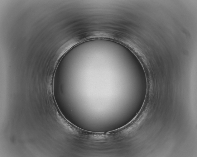 X0000111191137200907081251