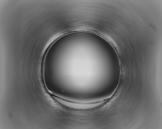 X0000111191138200907081251