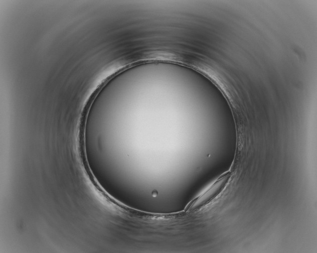 X0000111191139200907081251