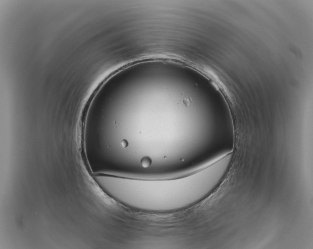 X0000111191140200907081251