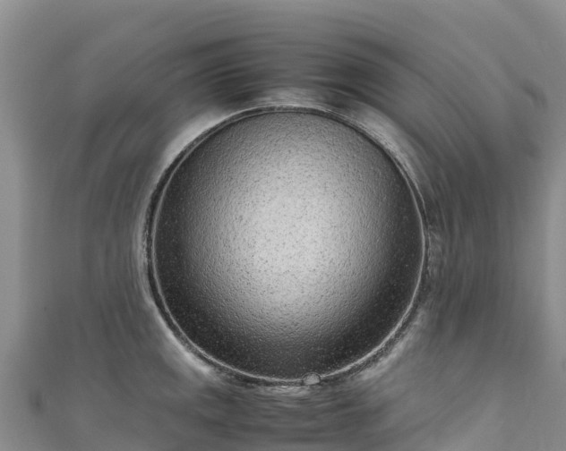 X0000111191141200907081251