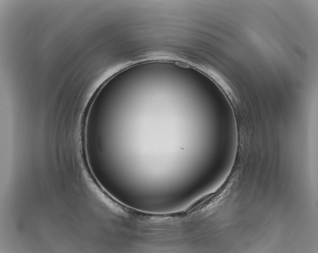 X0000111191142200907081251