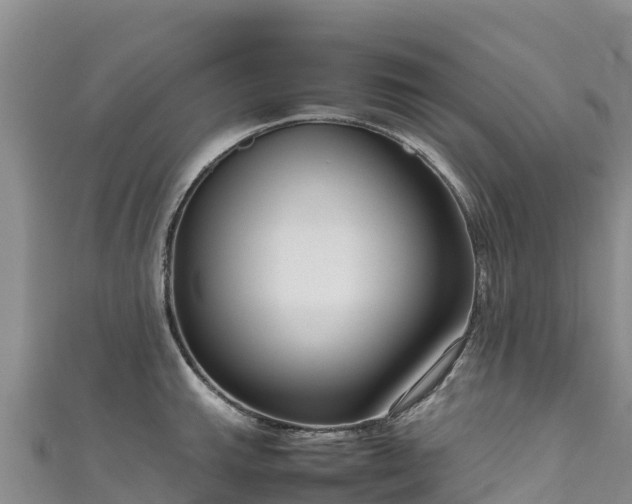 X0000111191143200907081251