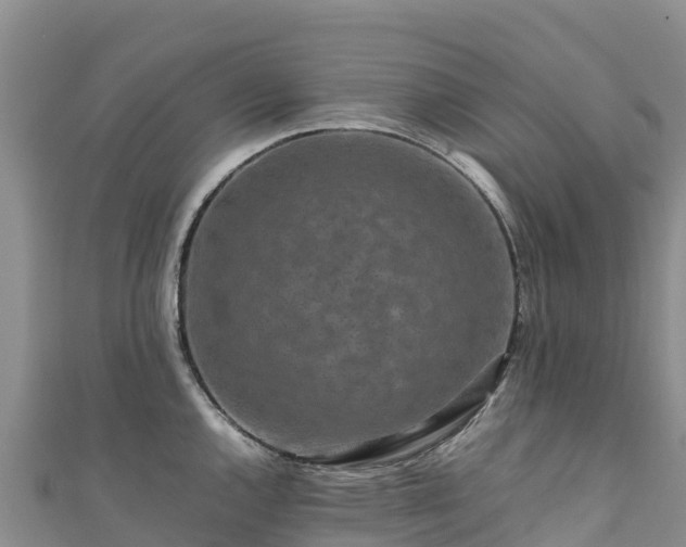 X0000111191144200907081251