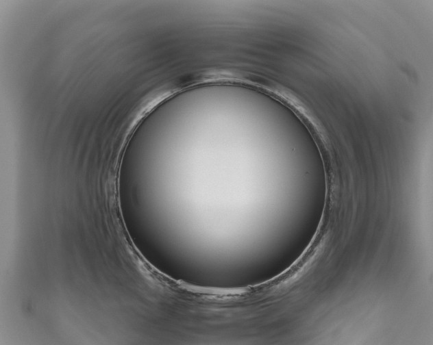 X0000111191145200907081251