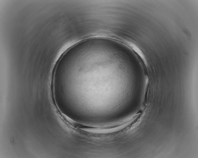 X0000111191146200907081251