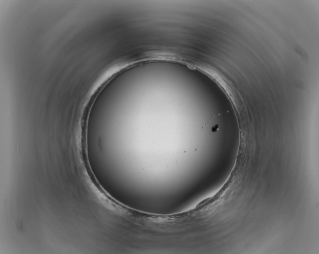 X0000111191147200907081251