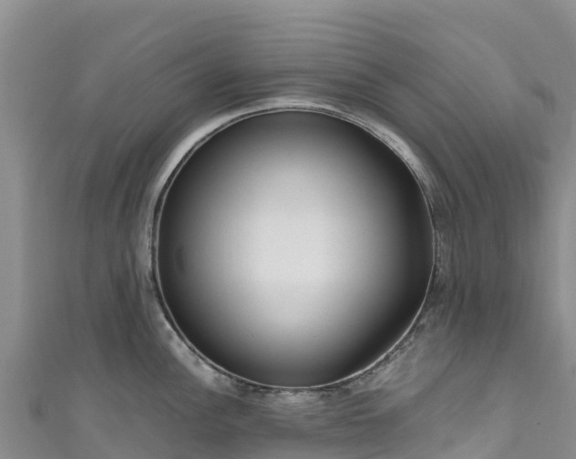 X0000111191148200907081251