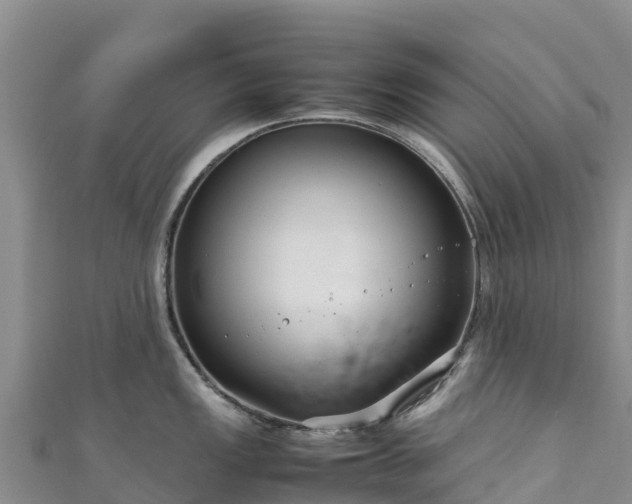 X0000111191149200907081251