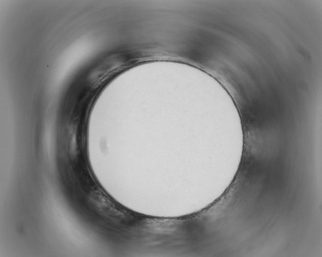 X0000111191150200907081251