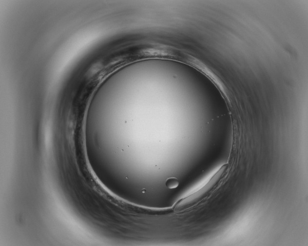 X0000111191151200907081251