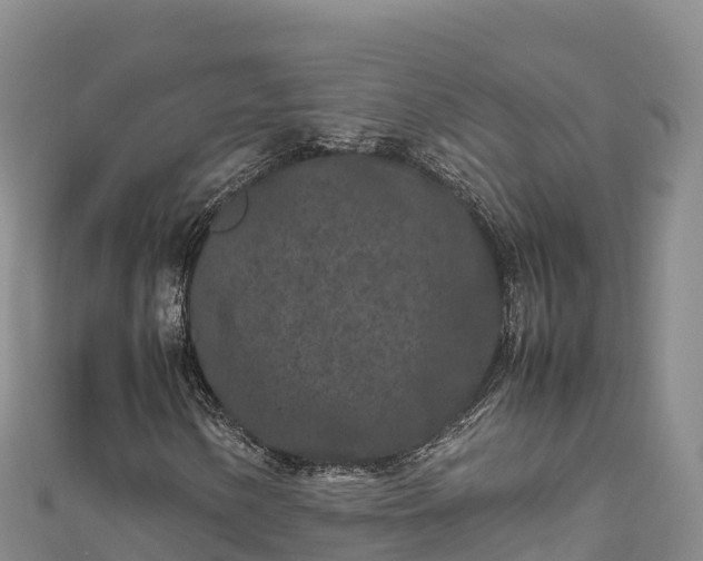 X0000111191154200907081250