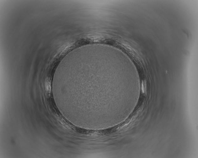 X0000111191155200907081250