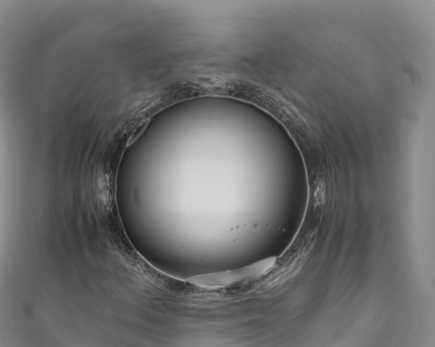 X0000111191156200907081250