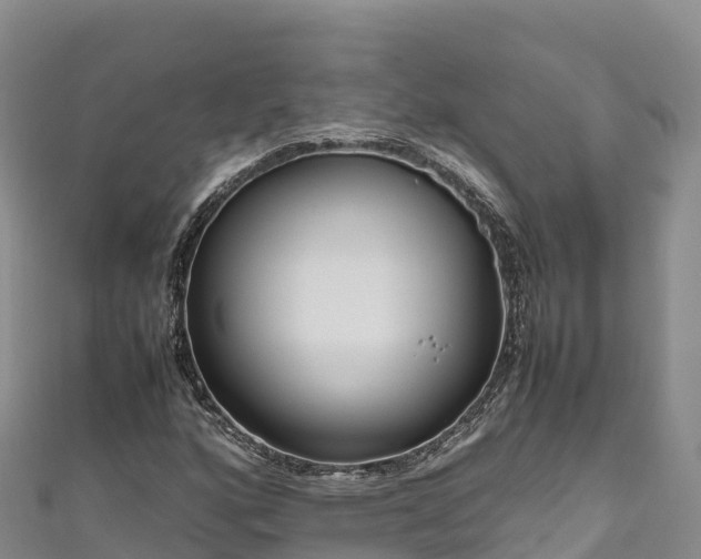 X0000111191160200907081250