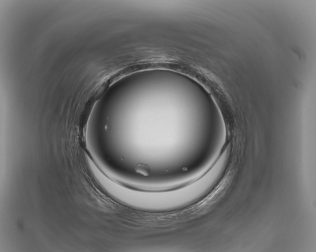 X0000111191161200907081250