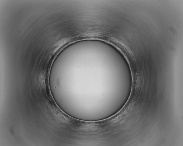 X0000111191162200907081250