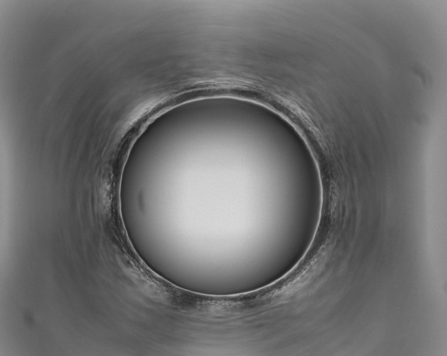 X0000111191163200907081250