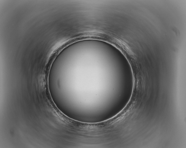 X0000111191164200907081250