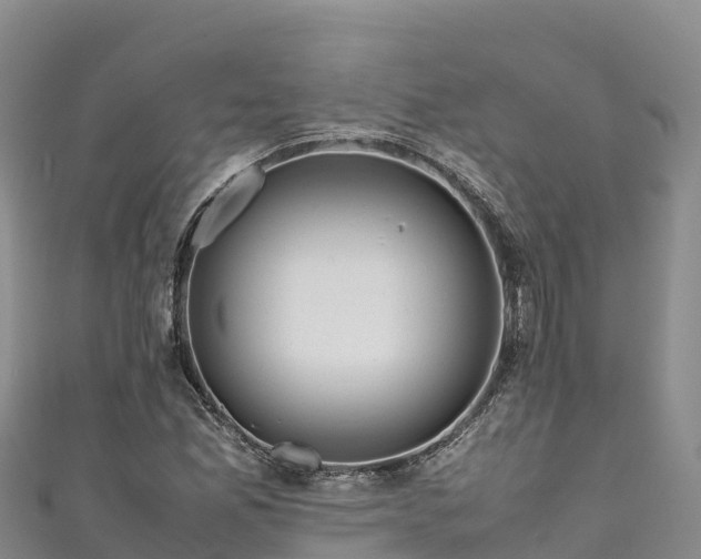 X0000111191165200907081250