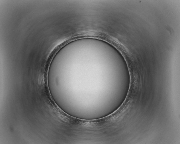 X0000111191166200907081250