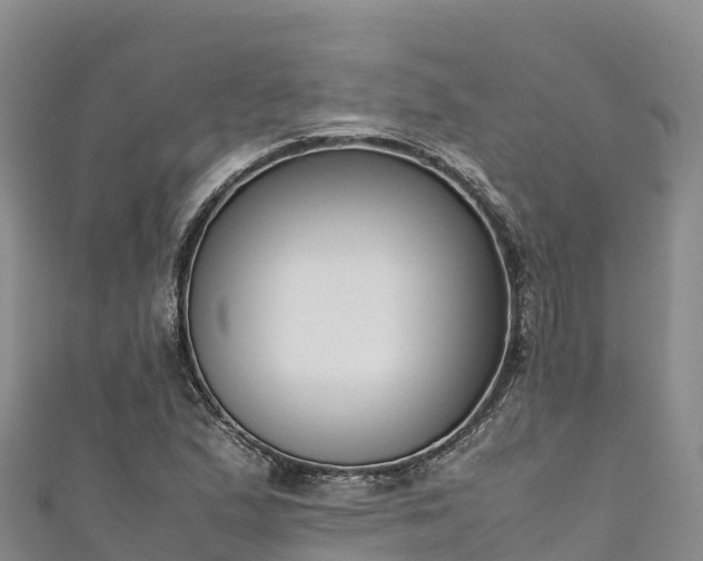 X0000111191167200907081250