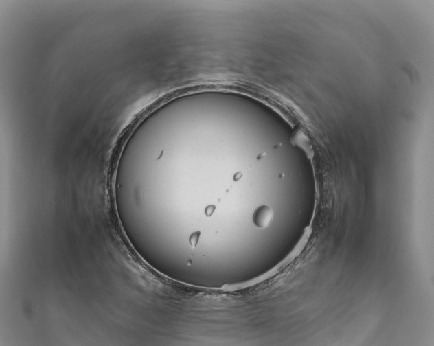 X0000111191168200907081250