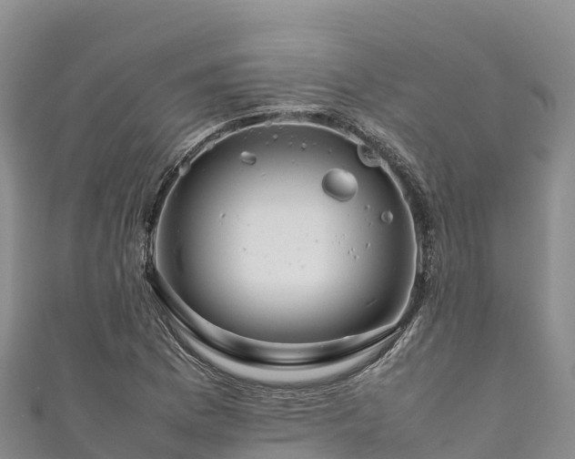 X0000111191169200907081250