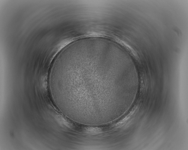 X0000111191170200907081250