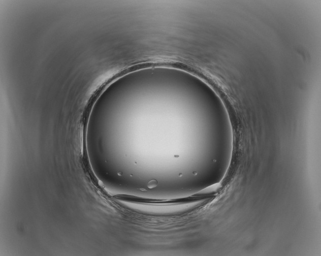 X0000111191171200907081250