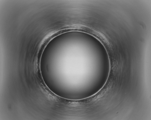 X0000111191172200907081250