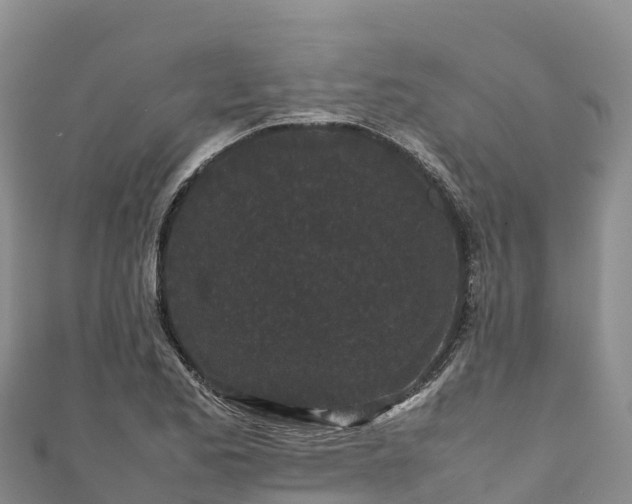 X0000111191173200907081250