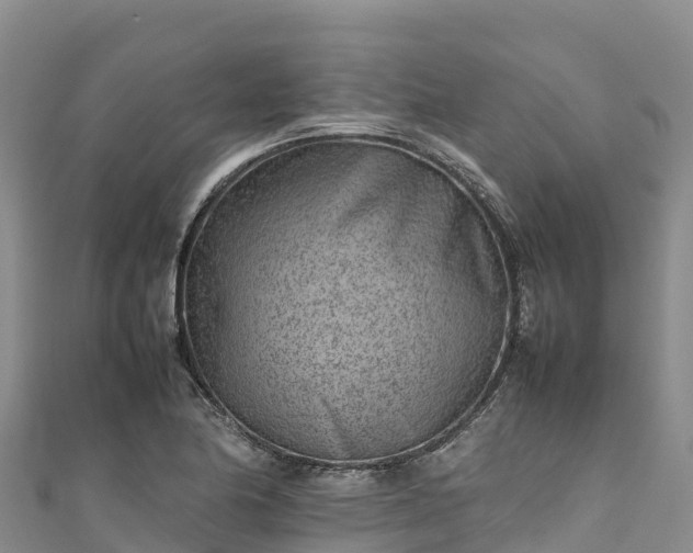 X0000111191174200907081250