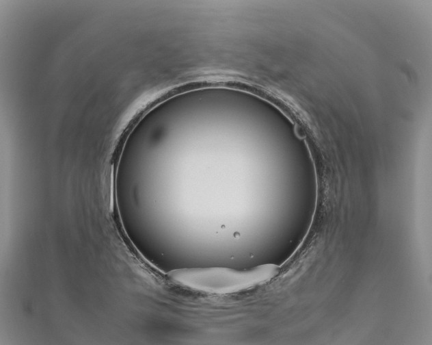 X0000111191175200907081250