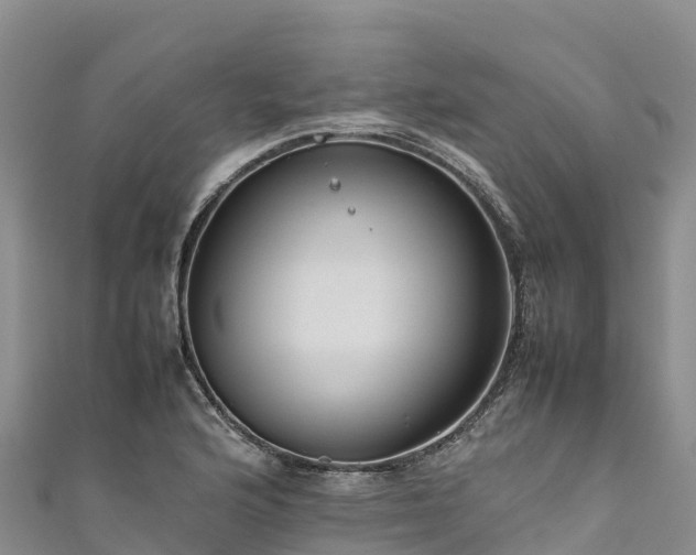 X0000111191176200907081250