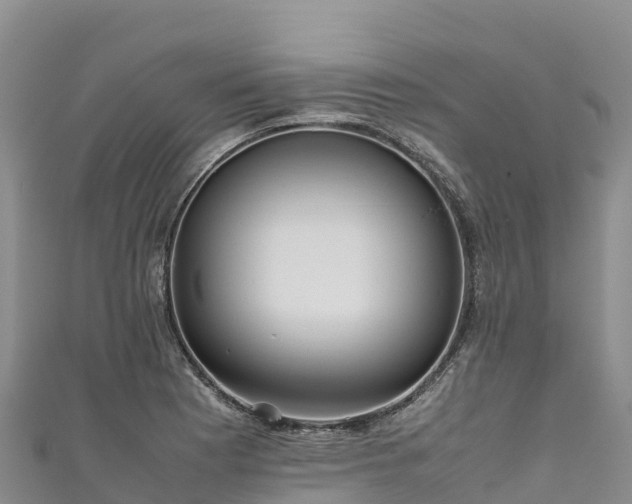 X0000111191177200907081250