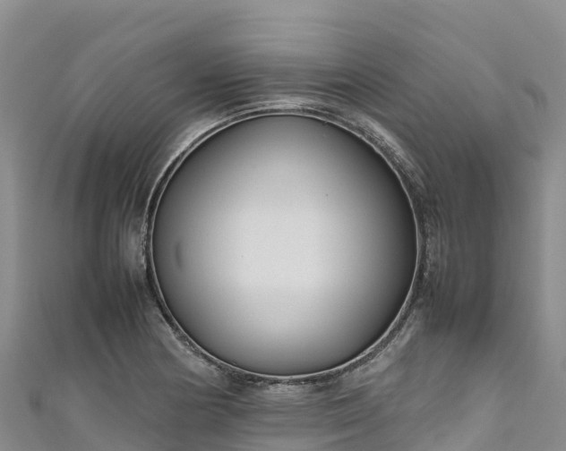 X0000111191178200907081250