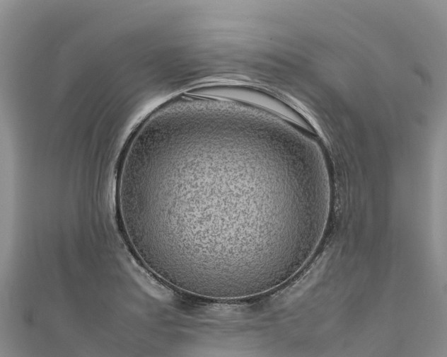 X0000111191179200907081250