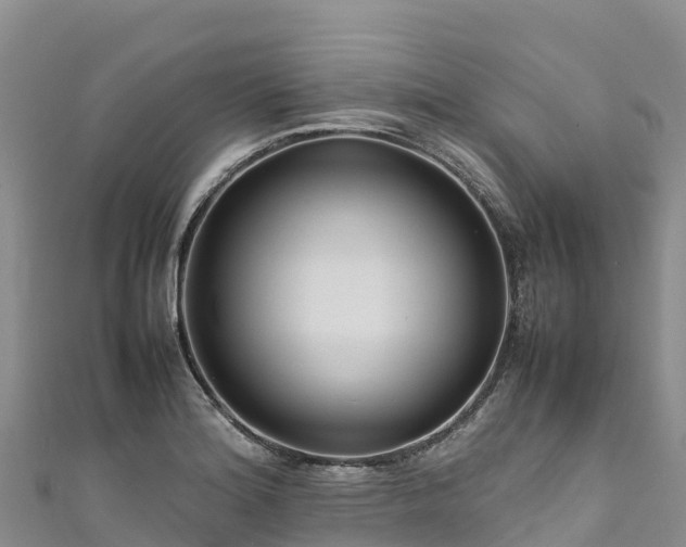 X0000111191180200907081250