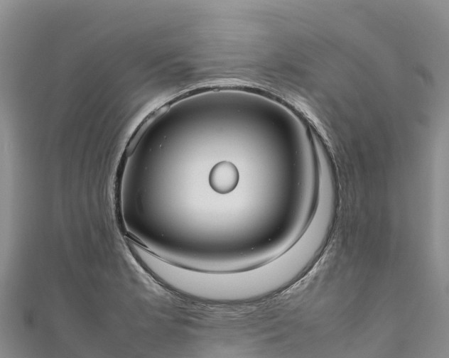 X0000111191181200907081250