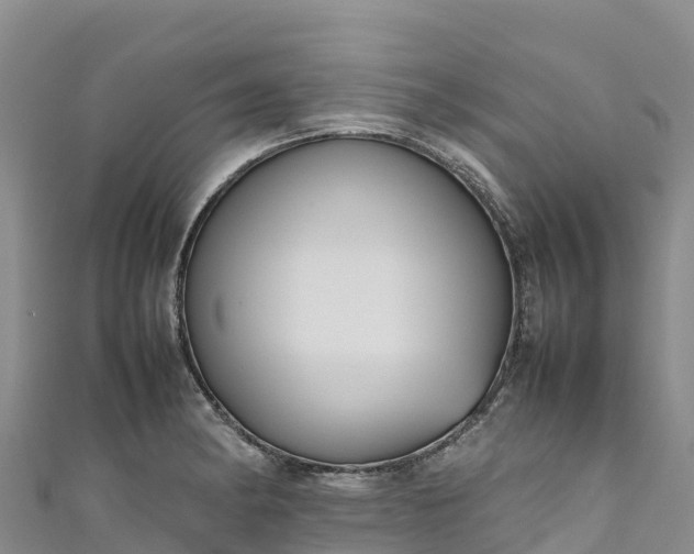 X0000111191182200907081250