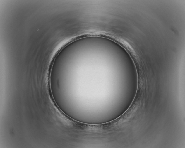 X0000111191183200907081250